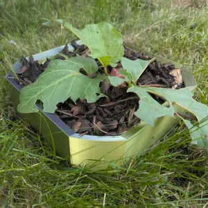 Garden Mulch Ring