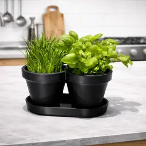 HERB PLANTER / BASIL / CHIVES / KITCHEN GADGETS / ORGANIZER
