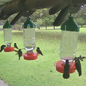 Hummingbird Feeder and Gatorade Holder