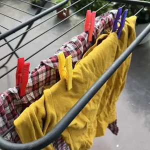 Clothes peg, food