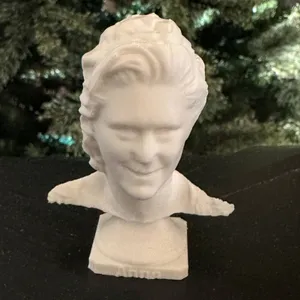 The Lady Anne Bust
