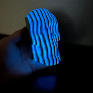 Bent Reality Skull
