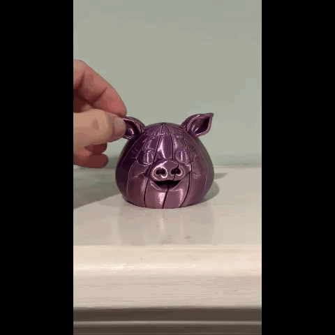 Piggy Twist Fidget Toy