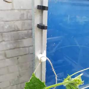 Greenhouse Clips - string or mesh