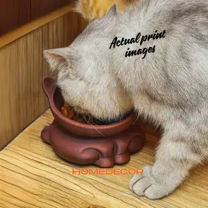 Cat Feeder