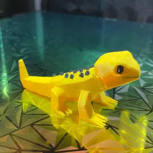 Cali Leo gecko