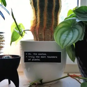 Undertale Cactus Plate