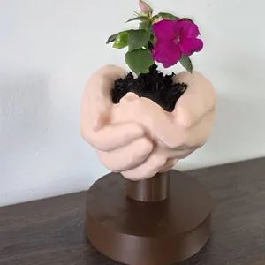 A Gift from His Hands