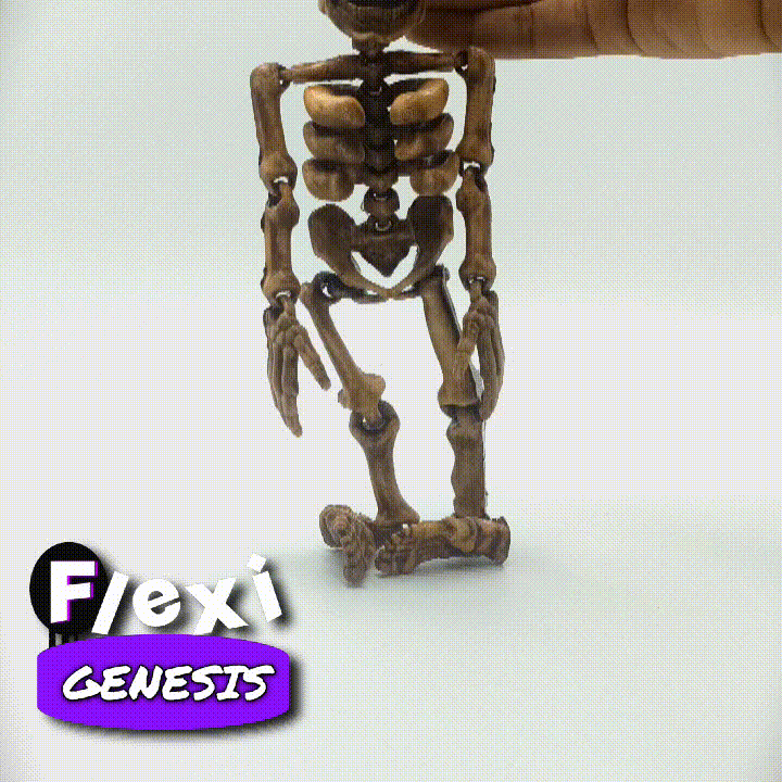 Flexi Skeleton