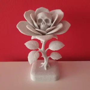 Rosa Calavera. Skull Rose.