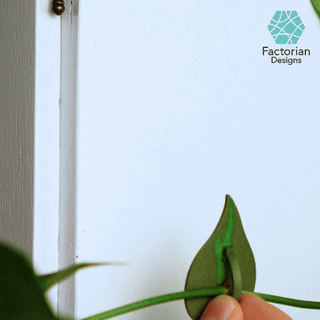Plant Cable Clips & Ties "LeafLock" | Adjustable Cable Zip
