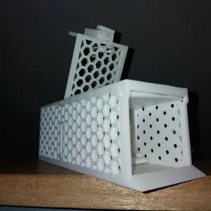 mouse trap