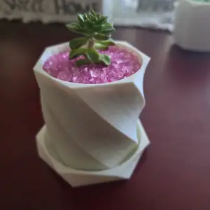 Planter semi spiral shaped with water base