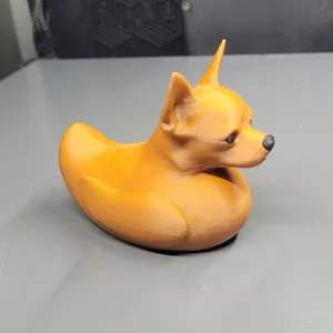 Chihuahua Duck