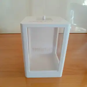 Terrarium pour Phidippus