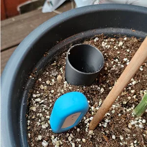 Gießtrichter, Watering Funnel, Embudo de Riego