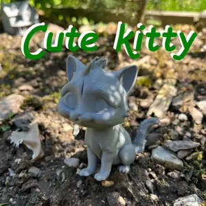 Beautiful cute kitty