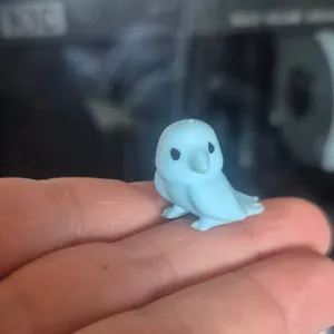 Mini péroquet cute