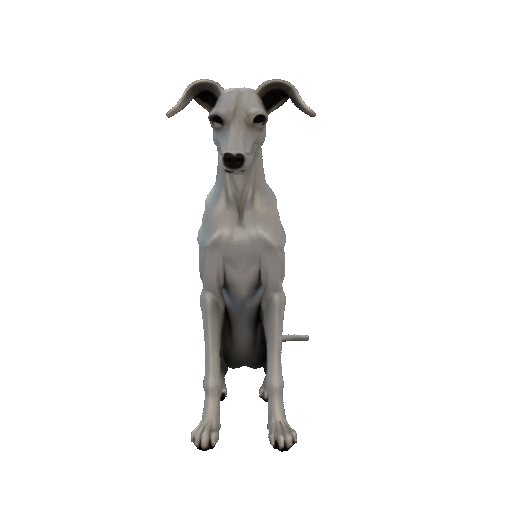 Greyhound