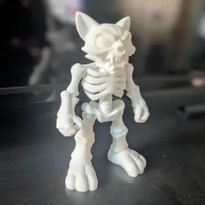 Skullcat – Cartoon Skeleton Cat