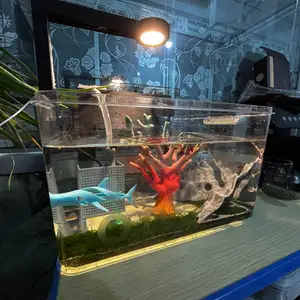 鱼缸过滤组合
