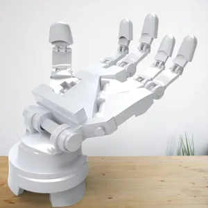 Robotic hand