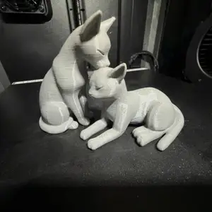 Elegant kissing cats | elegante küssende Katzen