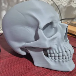 skull