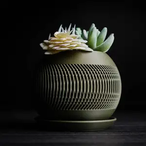 solis · planter