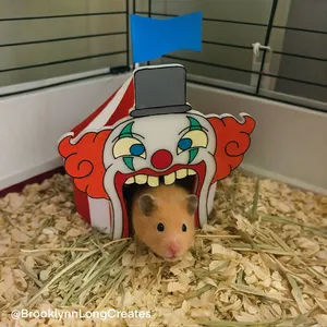 Circus Tent Hamster House
