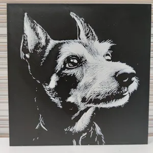 Hueforge racing dog