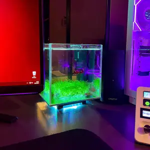 mini aquarium bottom rgb lighting