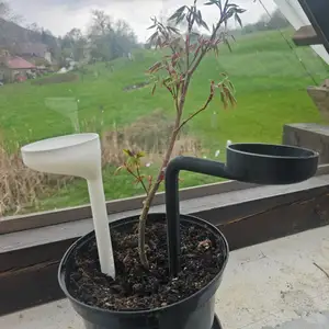 Targeted Root Watering System for Planters