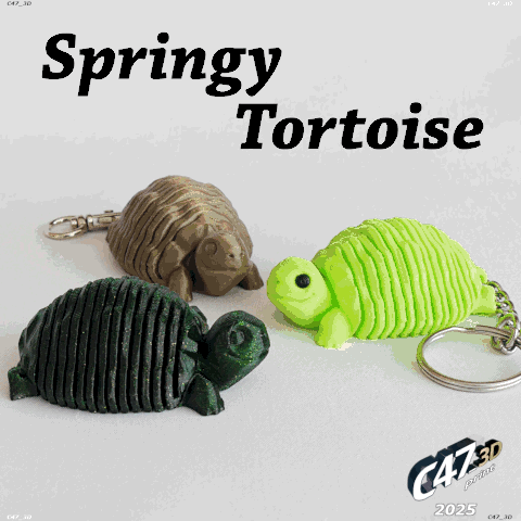 Springy Tortoise