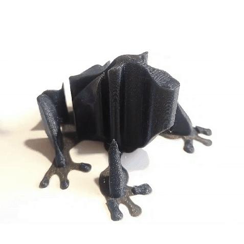 Single Extruder - Dual Color - Burp the Derpy Frog