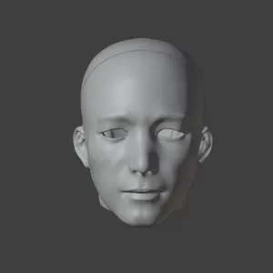 BJD doll with head, face, and skull