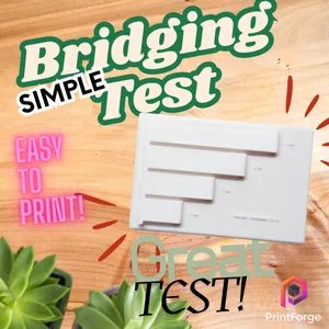 Simple Bridging Test