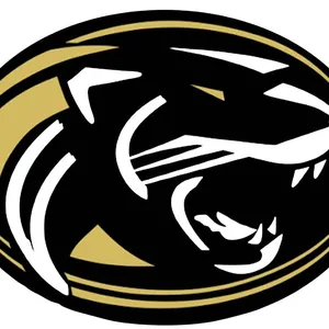 panther medallion of a necklace