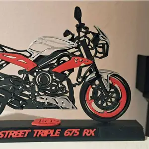 Model Triumph Street Triple 675 RX 2015