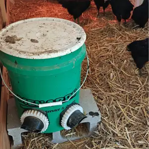 5 Gallon Bucket Chicken Feeder - Low Maintainance!