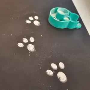 Bunny Footprint Maker