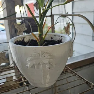 Plant Pot w. palm trees v. 3