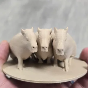 Capibara model