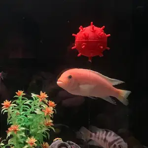 A sea mine for aquarium decoration