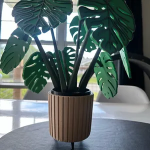 Monstera Coasters