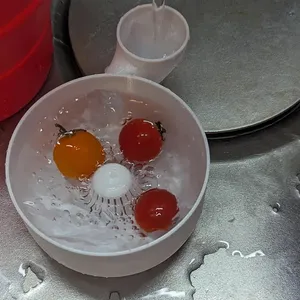 Automatic Fruit/Vegetable Washer