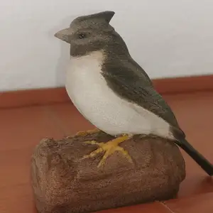 Little sparrow