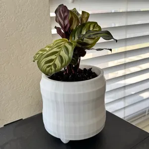 terracotta pot