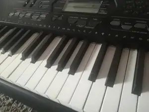 MIDI keyboard keys - Casio CTK3000
