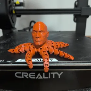 Rocktopus octopus